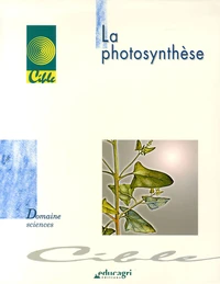 La photosynthèse