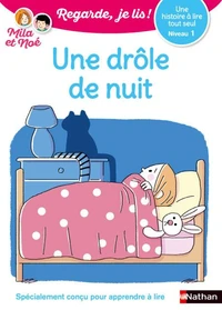 Une drôle de nuit