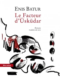 Le Facteur d'Usküdar