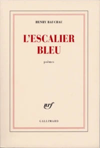 L'escalier bleu