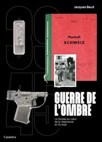 Guerre de l'ombre