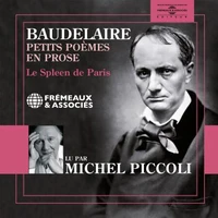 Le spleen de Paris