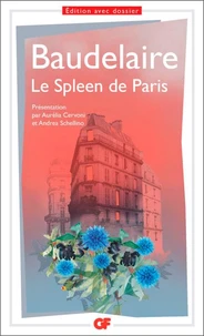 Le spleen de Paris