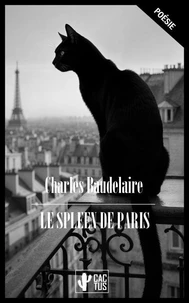 Le Spleen de Paris