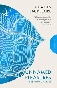 Unnamed Pleasures