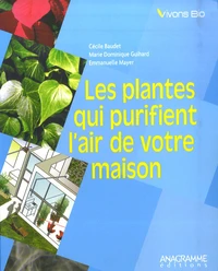 Les plantes qui purifient l'air de votre maison