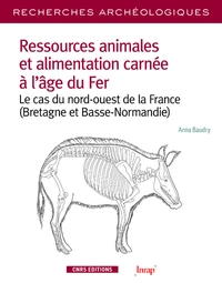 Ressources animales et alimentation carnée à l'âge du Fer