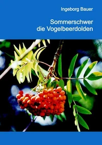 Sommerschwer die Vogelbeerdolden