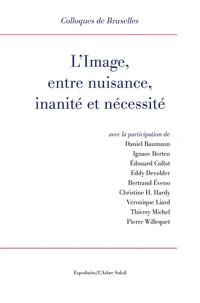 L'image, entre nuisance, inanité et nécessité