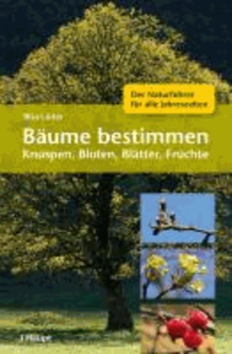 Bäume bestimmen - Knospen, Blüten, Blätter, Früchte - Der Naturführer für alle Jahreszeiten.