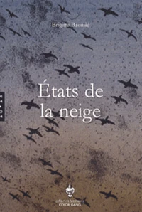 Etats de la neige
