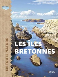 Les îles bretonnes