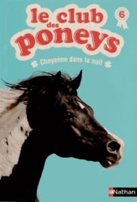 Cheyenne dans la nuit