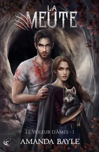 Le voleur d'âme