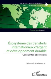 Ecosystème des transferts internationaux d'argent et développement durable