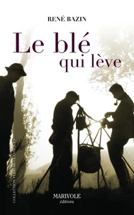 Le blé qui lève