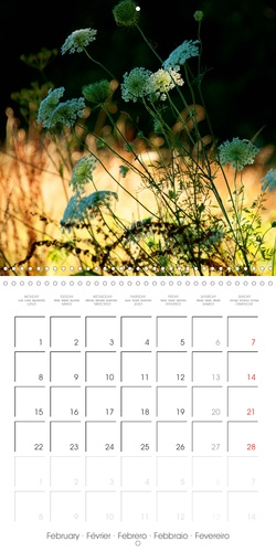 Calendrier 2023 Ces Plantes Qui Soignent Calvendo Nature . Ces Fleurs Qui Soignent... - Béatrice Biewer - Livres -  Furet Du Nord