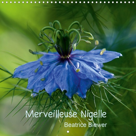 CALVENDO Nature  Merveilleuse Nigelle (Calendrier mural 2020 300 × 300 mm Square). Une merveilleuse petite fleur, la Nigelle de Damas (Calendrier mensuel, 14 Pages )