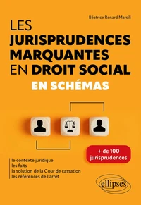 Les jurisprudences marquantes en droit social en schémas