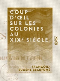 Coup d'œil sur les colonies au XIXe siècle - Suivi de l'examen des difficultés de la colonisation de l'Afrique et des moyens d'y remédier