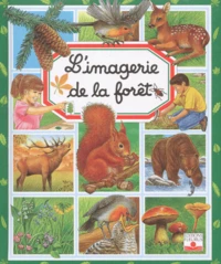 L'imagerie de la forêt