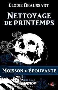 Nettoyage de printemps