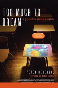 Too Much to Dream