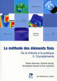 La méthode des éléments finis : de la théorie à la critique