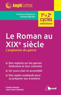 Le roman au XIXe siècle