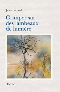 Grimper sur des lambeaux de lumiere