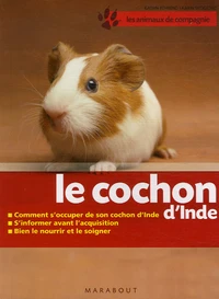 Le cochon d'Inde