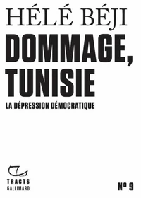 Dommage, Tunisie