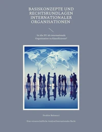 Basiskonzepte und Rechtsrundlagen internationaler Organisationen