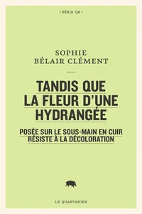 Tandis que la fleur d'une hydrangée posée sur le sous-main en cuir résiste à la décoloration