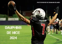 Dauphins de Nice