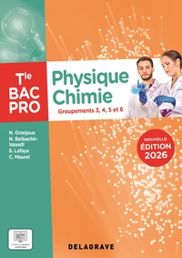 Physique Chimie Tle Bac Pro Groupements 3, 4, 5 et 6