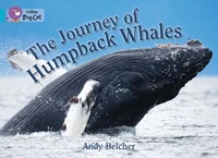 The Journey of Humpback Whales