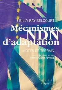 Mécanismes NDN d'adaptation
