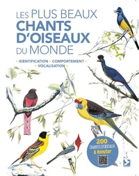 Les plus beaux chants d'oiseaux du monde