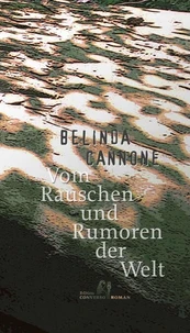 Vom Rauschen und Rumoren der Welt