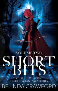Short Bits, Volume 2