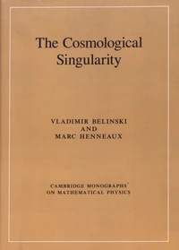 The Cosmological Singularity