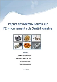 Impact des Métaux Lourds sur l’Environnement et la Santé  Humaine