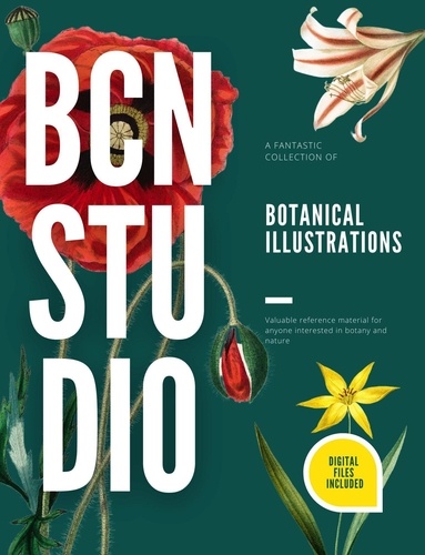  Bella Adams - Botanical Illustrations - BCN Studio Illustrations.