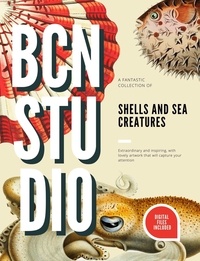 PDF book downloader téléchargement gratuit Shells and Sea Creatures  - BCN Studio Illustrations in French