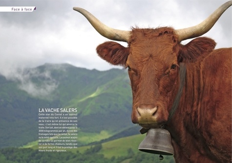 Volcans d'Auvergne. 36 belles balades