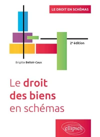 Le droit des biens en schémas