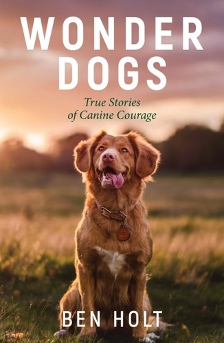 Wonder Dogs. Inspirational True Stories of Real-Life Dog Heroes That Will Melt Your Heart