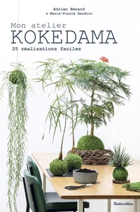 Mon atelier kokedama
