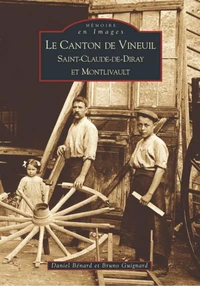 Le canton de Vineuil